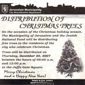 foto: kerstboom aangeboden